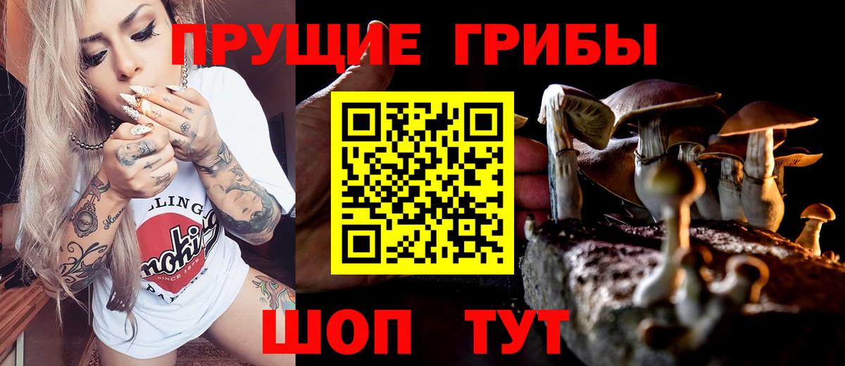 Псилоцибиновые грибы Psilocybine cubensis  Вход с VPN  Сарапул 